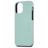 iPhone 12 mini mint, green Case