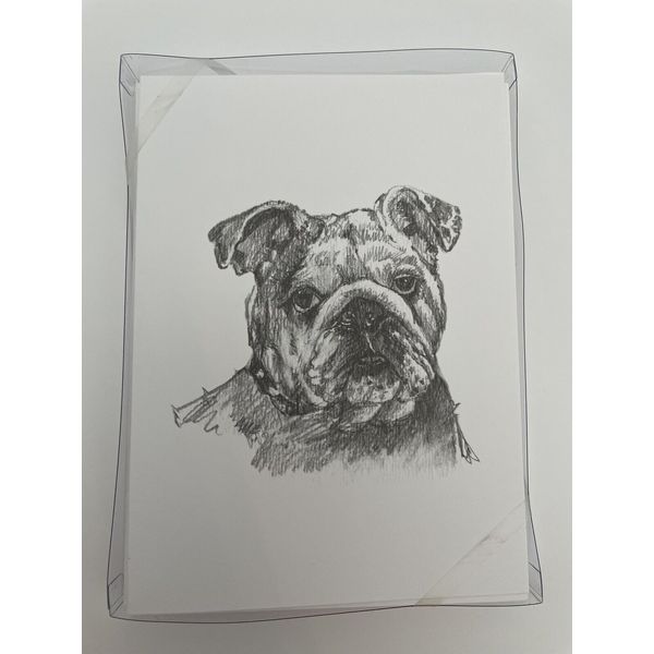 Bulldog Artist Sketch Greeting Cards “Odd Balls” 10 Pack , Blank Inside USA Made