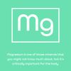 Magnesium Ascorbate Powder 250g - Nutriscript