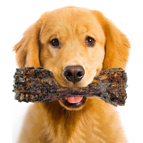 Lively Tails Liver Coated Dog Bones for Aggressive Chewers, Natural Dog Bones for Large Dogs, Beef Shin Large Dog Bones for Medium Dogs, Bones for Dogs Long Lasting, Dog Chew Bones - 1 Count