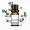 Elora 10ml Eucalyptus Essential Oil, 100% Pure & Natural