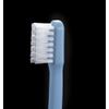 L APIS: Dental Toothbrush, Compact Head, Made in Japan, Long Handle, Flat Pen Grip, Soft 5 Pastel Assortment LA-211