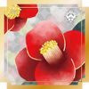 Hanaeimi Hand Cream December Camellia