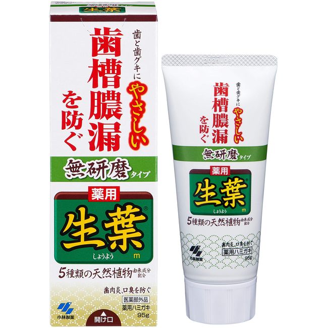 Raw Leaf (Soy Shoyo) Non-Abrasive Type Prevents Pyorrhea, Medicated Toothpaste, Herbal Mint Flavor, 3.4 oz (95 g), Quasi-Drug x 6 Packs