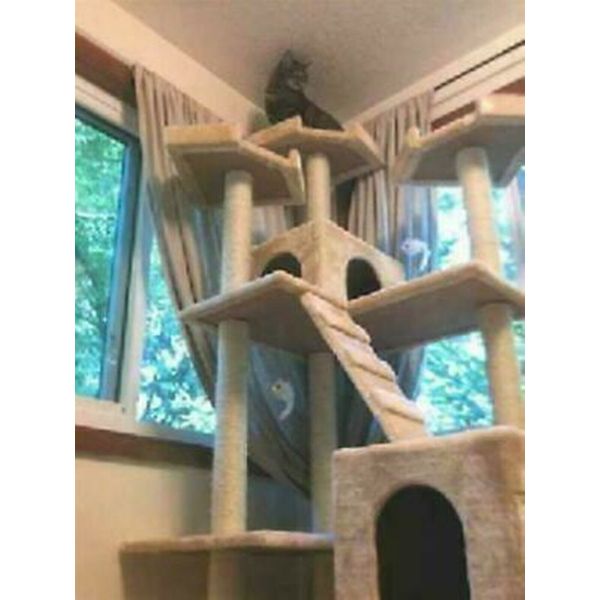 New Cat Condo Indoor Big Tower Multi Giant Castle Large Extra Tree Tall 72" Gift