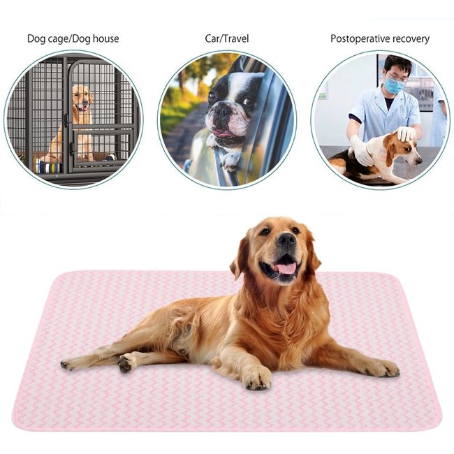 Dog Pee Pad Blanket Reusable Absorbent Diaper Washable Puppy Training Bed  Urine Mat For Pet Car Seat Cover
