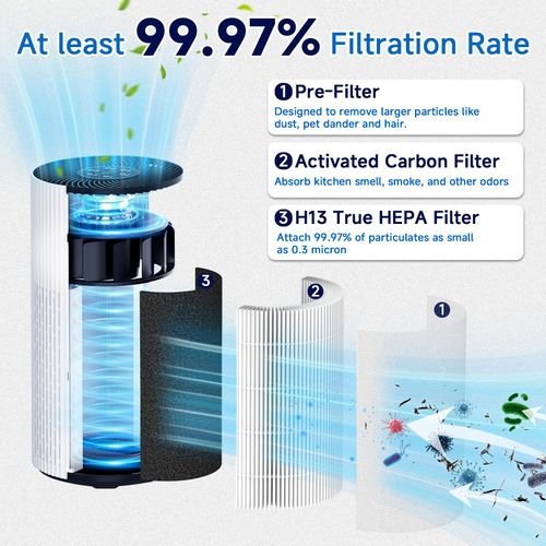 HAP604 Replacement Fil-ter Compatible With ECOSELF HAP604 Air Purifi-er, 3-Stage H13 True Hepa Air Fil-ter with Activated Carbon (Black)