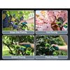 WORKPRO 12V Electric Pruning Shears, Battery Powered Pruning Shears Gardening