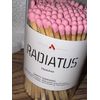 Radiatus Regular Stick Pink Tip Matches 4 Inch Refill 100 pcs Glass Container