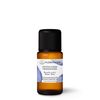 Organic Essential Oil Frankincense 0.5 oz (17.44 ml)