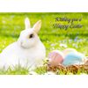 Bunny Rabbit Easter Card - Landscape