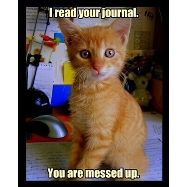 I read your journal. You are messed up. writing pencil pen cat pet lover MAGNET