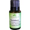 Ravintsara (Cinnamomum camphora, Madagascar) (1/2oz)