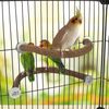 RYPET Parrot Bird Natural Wood Stand Perch Swing, U Shape