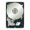 Seagate ST1000VM002 Pipeline HD 1 TB Internal Hard Drive - Black