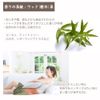 ASH Tea Tree Essential Oil 10ml AEAJ Certified Certified Essential Oil