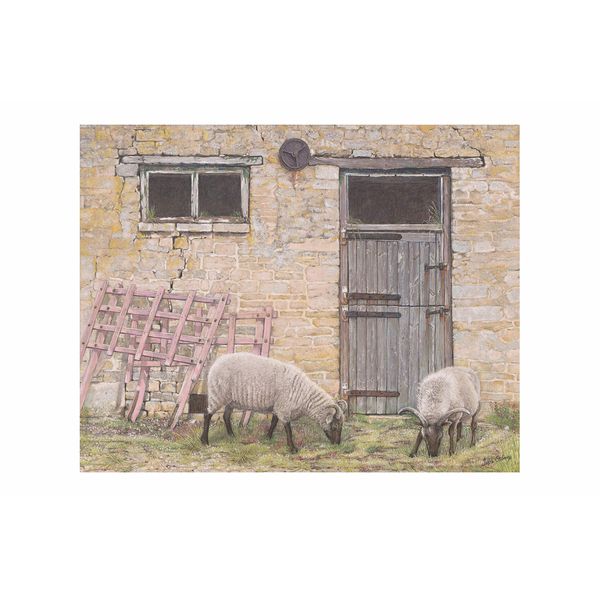 'Sheep by Barn' Artistic Greetings Card, Blank Inside - Countryside Scene