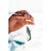 Berkley Gulp! Pogy,Sardine,3-Inch