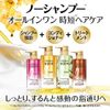 L'Oréal Paris Elseve No Shampoo Extraordinary Oil La Clem Lavon Smooth Shine Refill, 13.5 oz (380 g)