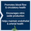 Life Extension NitroVasc Boost (Berry) 78.60 Grams Powder