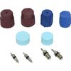 New HVAC A/C System Valve Core and Cap Kit VC 2909C