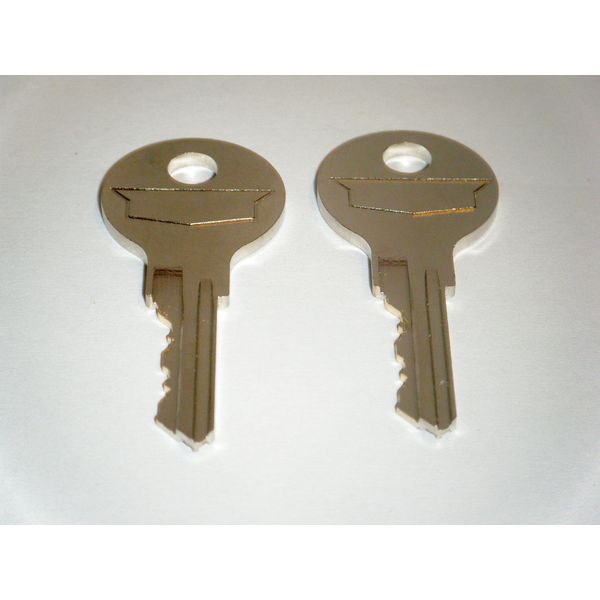 JETUSA Steelcase File Cabinet Keys from FR300 to FR350 Chicago Office Furniture Desk Keys. 2 - Keys Just Match Your Number Steel Case (FR311)