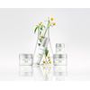 bareMinerals Ageless Phyto-Retinol Face Cream, 50.27 ml,White
