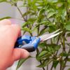 Hydrofarm HGPP400CT Titanium Precision Curved Blade Pruner