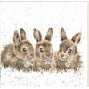 Wrendale Designs Rabbit Print on White Square Canvas 20 Centimetre Daisy Chain