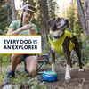 RUFFWEAR Trail Runner Bowl, Blue Pool