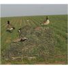 Avery Layout Blind Kit, KillerWeed Winter Wheat Camo - 47304