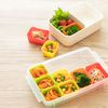 Bento for dividing storage container SMT2SL