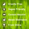 Aniseed 100% Pure Essential Aromatherapy Oil 100ml