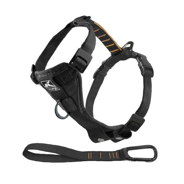 Kurgo Dog Harness | Pet Walking Harness | Medium | Black | No Pull Harness Front Clip Feature for Training Included | Car Seat Belt | Tru-Fit Quick Release Style