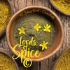 St Johns Wort Herb Concentrated Powder Hypericum Perforatum Adaptogen USA - 2oz