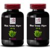 Algae Complex Tablets - BLUE GREEN ALGAE - Algae Power Capsules 2 Bottle 120 Cap