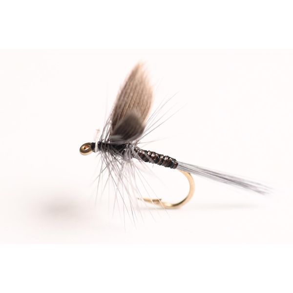 Blue Wing Olive Blue Quill Dry Fly, 6-Pack (14#)
