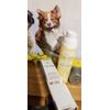 IT COSMETICS CONFIDENCE IN A GEL LOTION 2.5 OZ NIB