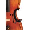 GEWA Strings C-bow protection