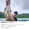 DAIWA Egi Emerald Peak Type S RV3.5 Keimura - Paraquito Cedar