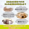 beePRON High Concentration Propolis Beepron for Pets, 3.4 fl oz (100 cc), Made in Brazil