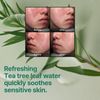 SOME BY MI AHA BHA PHA 30 Day Miracle Cream 60 ml - Exfoliating Tea Tree Face Cream for Acne Treatment - Refines Pores, Smoothes Skin Texture - Korean Skin Care for Blemished Skin