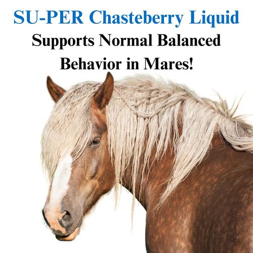 SU-PER Chasteberry Liquid Supplement for Horses - Supports Hormone Regulation & Healthy Pituitary Gland Function in Mares - 1 Quart, (2 Pack)