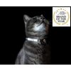 Rogz Catz GlowCat Collar, Black Cat
