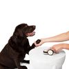 Agave Pet Paw Wax 56 ml