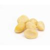 Bulk Raw Macadamia Nuts, Unsalted 10 Pound Wholesale Box