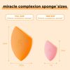 Real Techniques Miracle Complexion Sponge