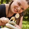 Schleich 14812 - Lion