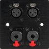 2 x Female XLR & 2 x Microphone Jack wall plate