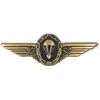 GERMAN ANTIQUE BRONZE SMALL JUMP WING PIN ON